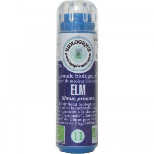 FLEUR BACH N°11 ELM granule
