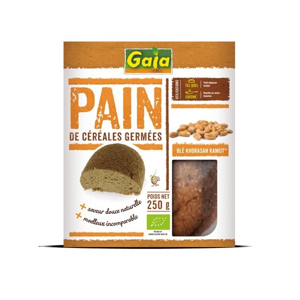 GALETTE CEREALES GERMEES LENTILLES2X100G