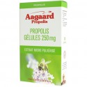 PROPOLIS + ZINC 250mg 30 gélules
