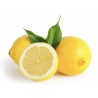 Citron Primofiore Italie (3 pièces)