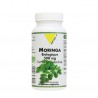 MORINGA 500mg extrait standardisé 60gél