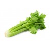 Céleri Branche Vert France (la pièce)