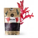DULSE ALGUE paillettes déshydratées 50g