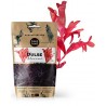 DULSE ALGUE paillettes déshydratées 50g