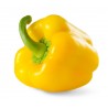 Poivron Jaune France (la pièce)