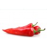 Piment Rouge Espagne (2 pièces)