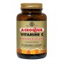 SOLGAR VITAMINE C AROME ORANGE 500 MG 90 COMPRIMES A CROQUER