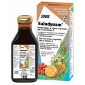 SALUDYNAM CALCIUM MAGNESIUM ZINCD3 250ml