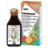SALUDYNAM CALCIUM MAGNESIUM ZINCD3 250ml
