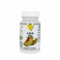 SOD (MELON) 20mg BIOLOGIQUE x60 gélules