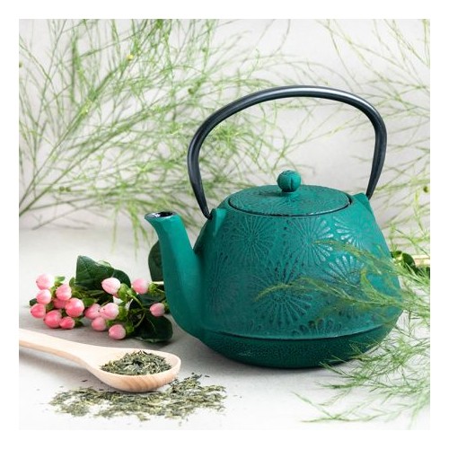 THEIERE HANAMI FONTE VERT+FILTR INOX1,2L