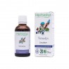 VEINOLYS complexe CIRCULATION 50ml