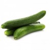Concombre Long Lisse France Unité