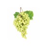 RAISIN RG CRIMSON S/PEPIN