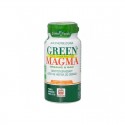 GREEN MAGMA JUS HERBE ORGE poudre 150g