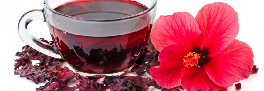 Hibiscus : super antioxydant