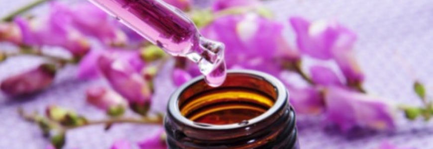 Les Fleurs de Bach : bient&ocirc;t 100 ans !